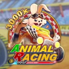 Animal Racing by Fachai: Features & Game Guide