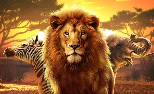 Safari Wilds by PG Soft: Gameplay Explained