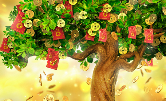 Tree of Fortune by PG Soft: Gameplay Explained