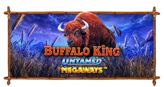 Buffalo King Untamed Megaways by Pragmatic Play: Gameplay Explained