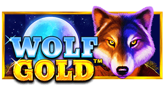 Wolf Gold by Pragmatic Play: Gameplay Explained