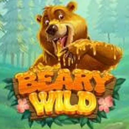 Beary Wild by RTG: Gameplay Explained