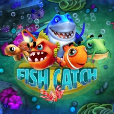 Fish Catch by RTG: Gameplay Explained