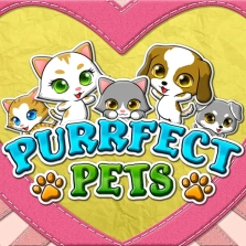 Purrfect Pets by RTG: Gameplay Explained
