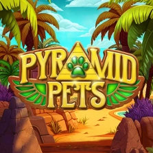 Pyramid Pets by RTG: Gameplay Explained
