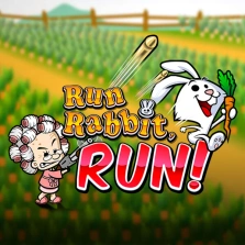 Run Rabbit Run by RTG: Gameplay Explained