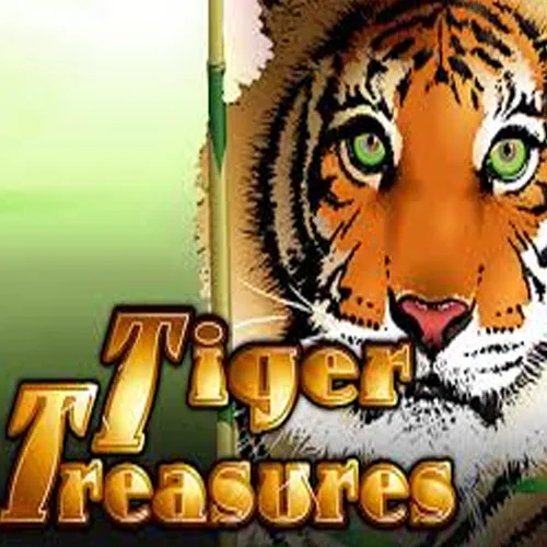 Tiger Treasures by RTG: Gameplay Explained