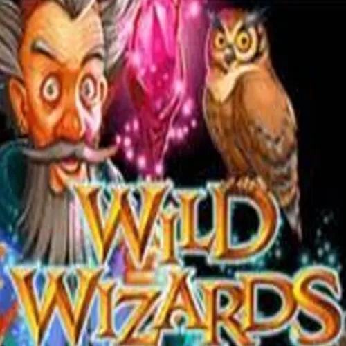 Wild Wizards by RTG: Gameplay Explained
